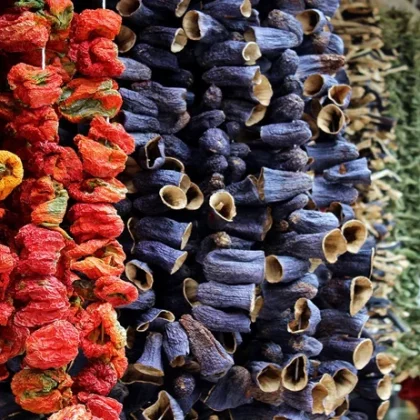 KURUTULMUŞ SEBZELER